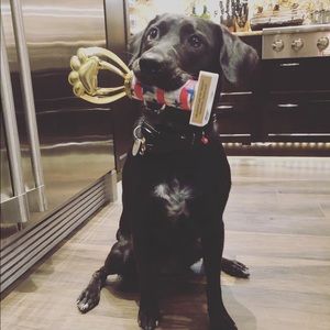 Meet your Posher, Leah